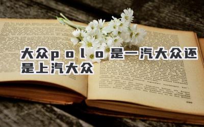 大众polo是一汽大众还是上汽大众