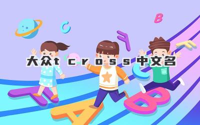 大众tcross中文名