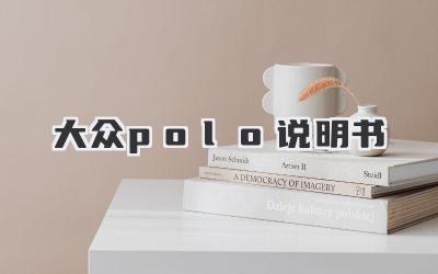 大众polo说明书