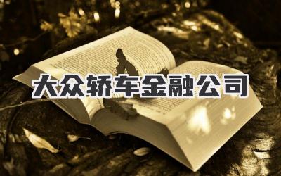 大众轿车金融公司