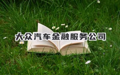 大众汽车金融服务公司