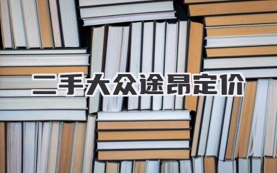 二手大众途昂定价