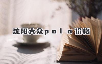 沈阳大众polo价格