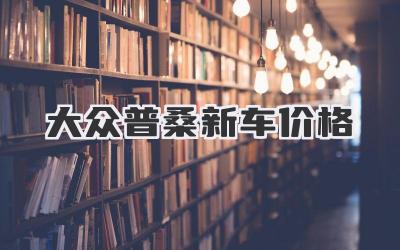 大众普桑新车价格