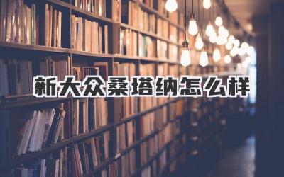 新大众桑塔纳怎么样