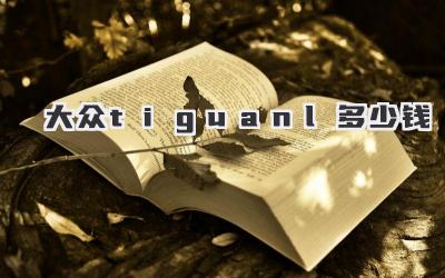 大众tiguanl多少钱