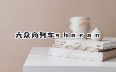 大众商务车sharan