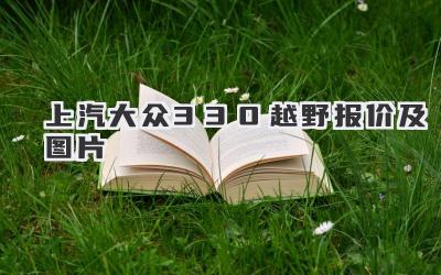 上汽大众330越野报价及图片