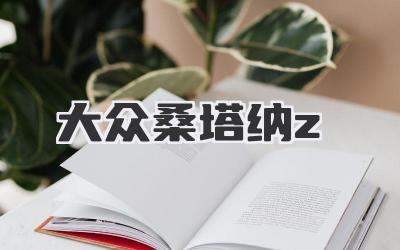 大众桑塔纳z