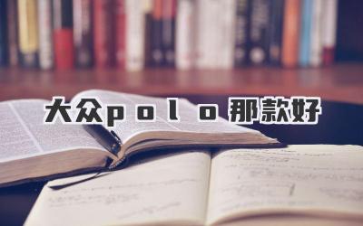 大众polo那款好