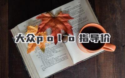 大众polo指导价