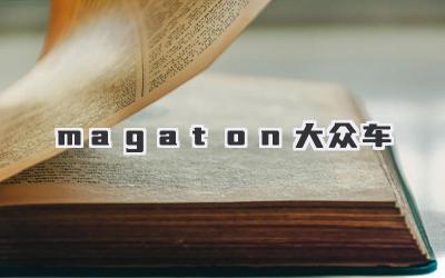 magaton大众车