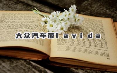 大众汽车带lavida