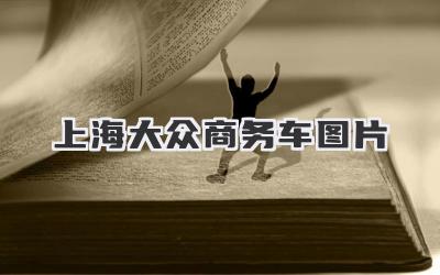 上海大众商务车图片