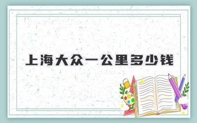 上海大众一公里多少钱