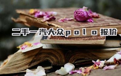 二手一汽大众polo报价