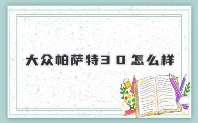 大众帕萨特3.0怎么样