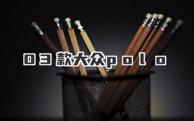 03款大众polo