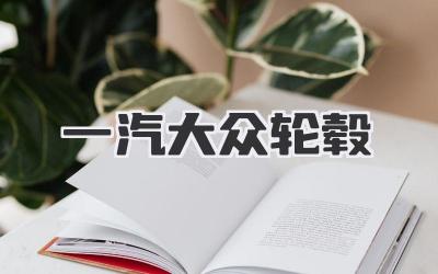 一汽大众轮毂