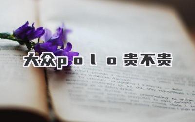 大众polo贵不贵