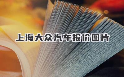 上海大众汽车报价图片