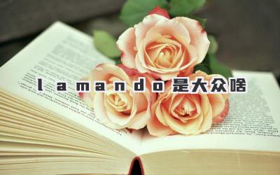 lamando是大众啥