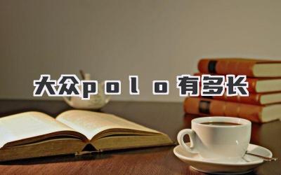 大众polo有多长