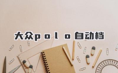 大众polo自动档