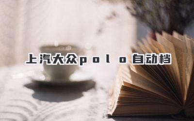 上汽大众polo自动档