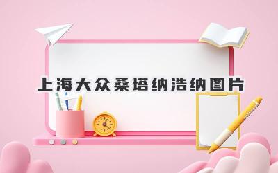 上海大众桑塔纳浩纳图片