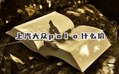 上汽大众polo什么价