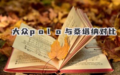 大众polo与桑塔纳对比