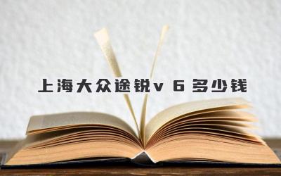 上海大众途锐v6多少钱