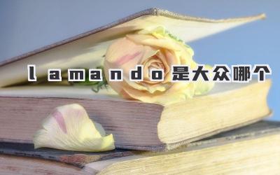 lamando是大众哪个