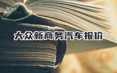 大众新商务汽车报价