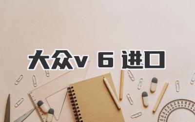 大众v6进口