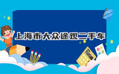 上海市大众途观二手车