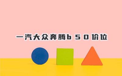 一汽大众奔腾b50价位