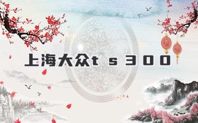 上海大众ts300