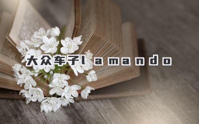 大众车子lamando